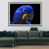 Close-Up Of a Parrot Head with Black Background Home Decor Premium Quality Poster Print Choose Your Sizes - Image 2