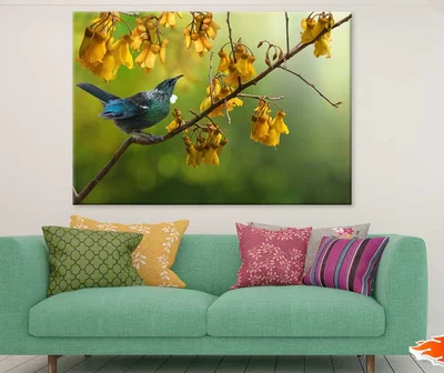 Tui Bird on Yellow Flower Tree View Photograph Print 100% Australian Made