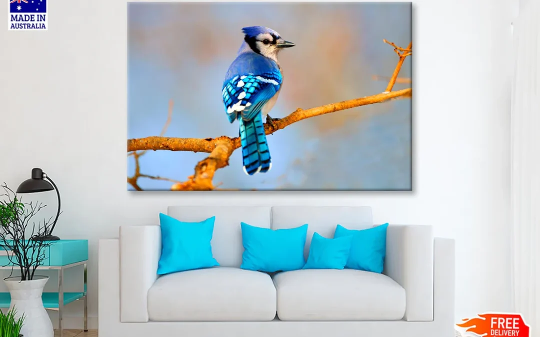 Lue Jay Sitting on A Tree Branch Wall Art Decor 100% Australian Made