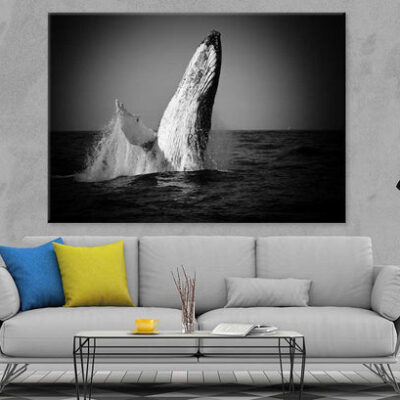 Whale on Sea B&W View Photograph Print 100% Australian Made