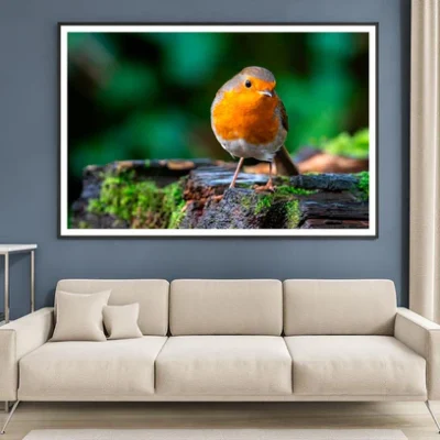 Robin Redbreast Bird a British European Home Decor Premium Quality Poster Print Choose Your Sizes