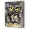 Yellow Eye Owl Painting Print Tempered Glass Wall Art 100% Made in Australia Ready to Hang - Image 4