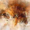 Tiger & Cub Watercolor Painting Print 100% Australian Made - Image 3