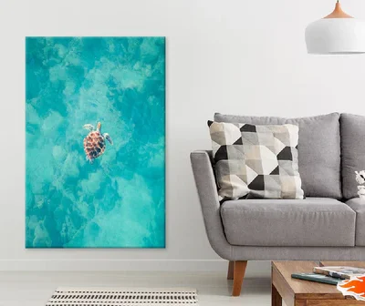 Hawksbill Turtle on Sea Aerial View Photograph Print 100% Australian Made