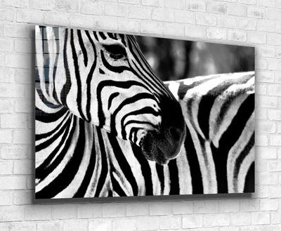 Zebra Face B&W Closeup Print Tempered Glass Wall Art 100% Made in Australia Ready to Hang