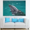 Dolphin on Sea Closeup Photograph Print 100% Australian Made - Image 2