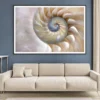Amazing Fibonacci Pattern in A Nautilus Shell Home Decor Premium Quality Poster Print Choose Your Sizes - Image 2