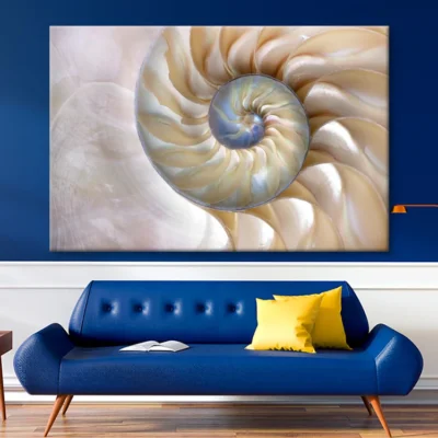 Amazing Fibonacci Pattern in A Nautilus Shell Wall Art Decor 100% Australian Made