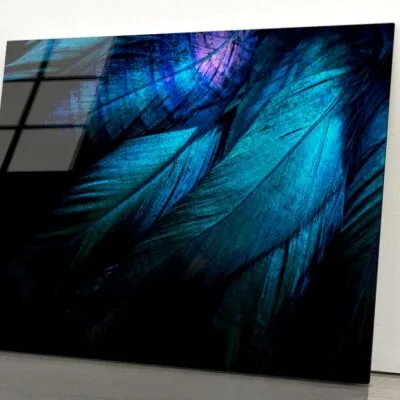 Stylish Dark Feather Acrylic Glass Print Tempered Glass Wall Art 100% Made in Australia Ready to Hang
