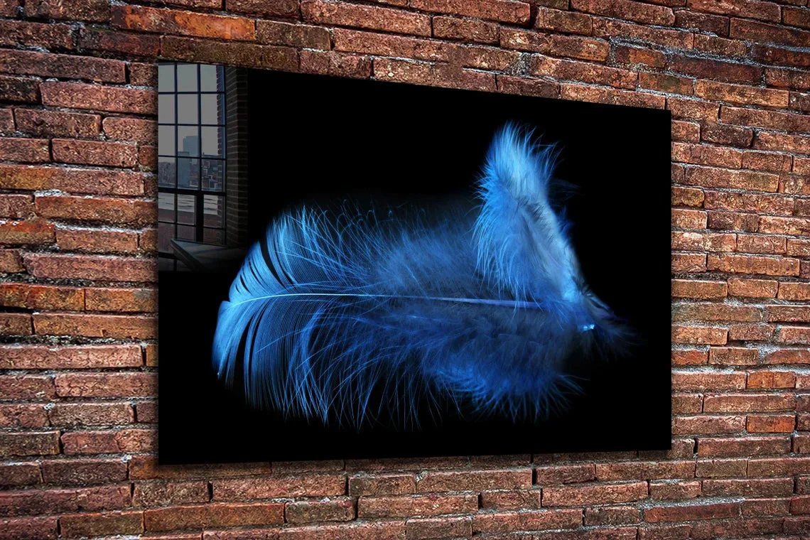 Blue Feather on Dark Print Tempered Glass Wall Art 100% Made in Australia Ready to Hang - Image 2
