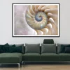 Amazing Fibonacci Pattern in A Nautilus Shell Home Decor Premium Quality Poster Print Choose Your Sizes
