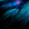 Stylish Dark Feather Closeup View Wall Art Decor 100% Australian Made - Image 3