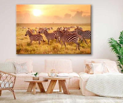 Bella Home Zebras at Sunset in Tanzania Print Canvas Ready to hang