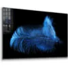 Blue Feather on Dark Print Tempered Glass Wall Art 100% Made in Australia Ready to Hang