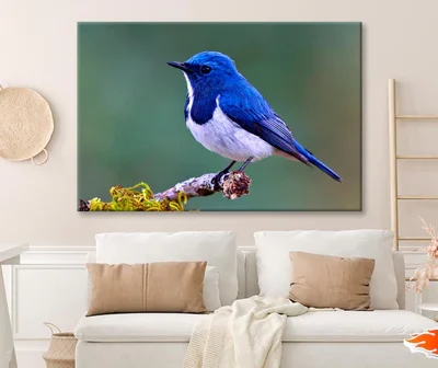 Ultramarine Flycatcher Cute Blue Bird Perching on Top Mossy Wall Art Decor 100% Australian Made