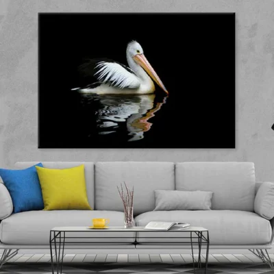 Australia Pelican Sea Bird View Photograph Print 100% Australian Made