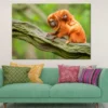 Baby Orange Tamarin & Mom View Photograph Print 100% Australian Made
