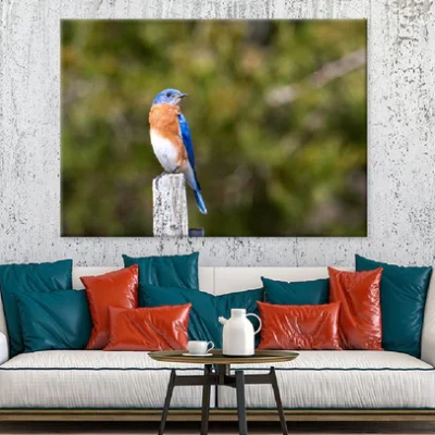 Blue Brown White Bird on Wood Photograph Print 100% Australian Made