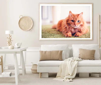 Beautiful Red Fluffy Cat with Green Eyes Home Decor Premium Quality Poster Print Choose Your Sizes