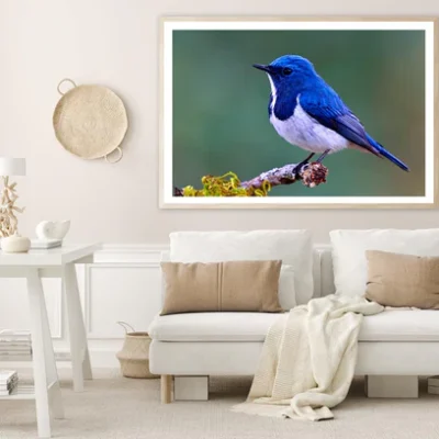 Ultramarine Flycatcher Cute Blue Bird Perching on Top Mossy Home Decor Premium Quality Poster Print Choose Your Sizes
