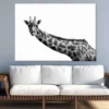 Giraffe Closeup B&W Photograph Print 100% Australian Made - Image 2