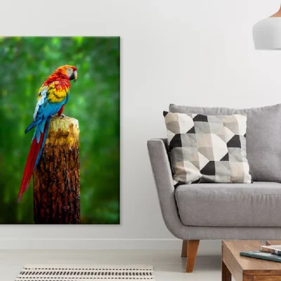 Colorful Macaw Parrot on Branch Photograph Print 100% Australian Made