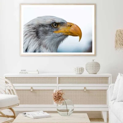 Bald Eagle Closeup View Photograph Home Decor Premium Quality Poster Print Choose Your Sizes