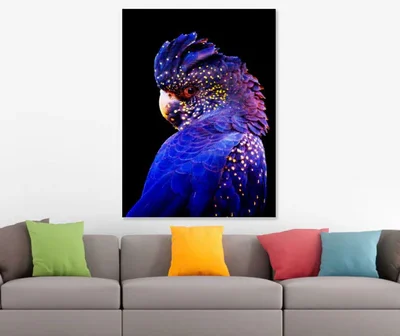 Cockatoo Bird Beautiful Stunning Print 100% Australian Made