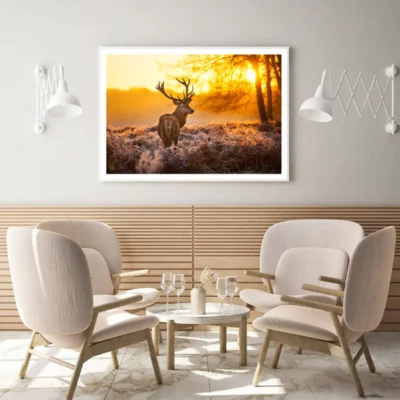 Deer in Forest Sunset Photograph Home Decor Premium Quality Poster Print Choose Your Sizes