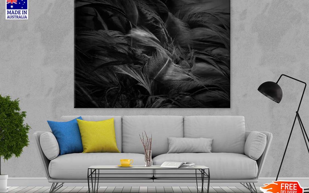 Black Feathers B&W Photograph Print 100% Australian Made