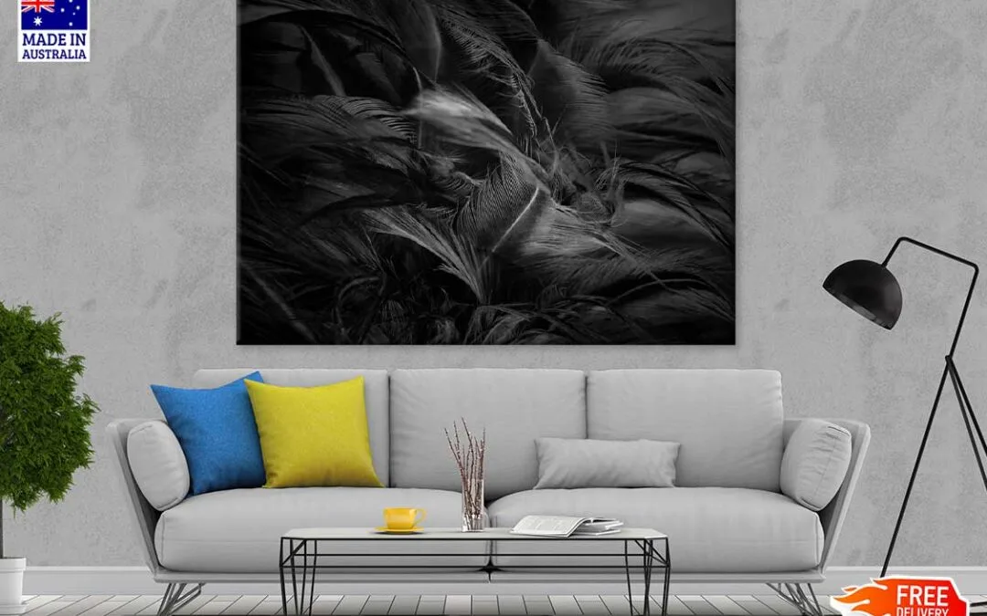 Black Feathers B&W Photograph Print 100% Australian Made