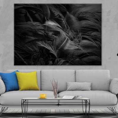 Black Feathers B&W Photograph Print 100% Australian Made