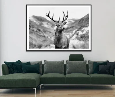 Black & white Deer Decor Premium Quality Poster Print Choose Your Sizes