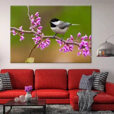 Black Capped Bird on Flower Tree Photograph Print 100% Australian Made