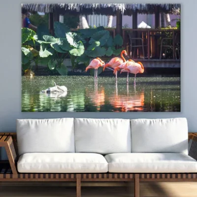 Flamingo Birds on Water Photograph Print 100% Australian Made