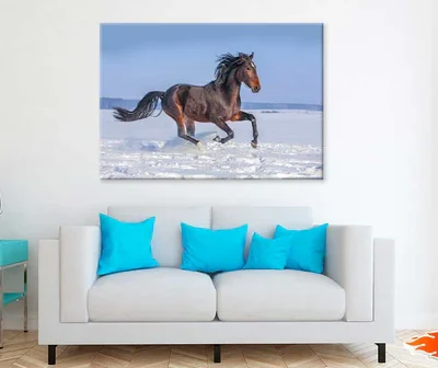 Horse Running over Snow Field View Photograph Print 100% Australian Made
