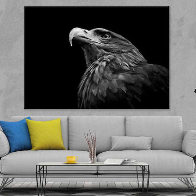 Eagle Face Closeup B&W Photograph Print 100% Australian Made