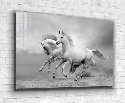 Running Horses B&W Print Tempered Glass Wall Art 100% Made in Australia Ready to Hang