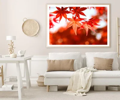 Red Autumn Leaves View Home Decor Premium Quality Poster Print Choose Your Sizes