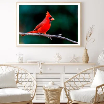 Northern Cardinal Home Decor Premium Quality Poster Print Choose Your Sizes