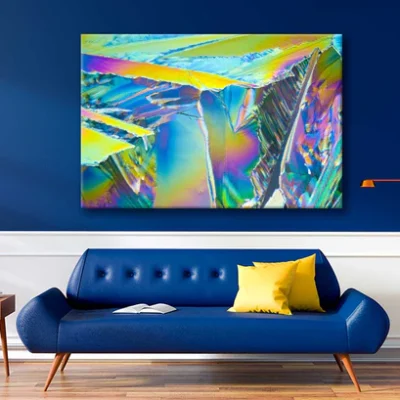 Bella Home Microcrystals Of Citric Acid Art Print Canvas Ready to hang