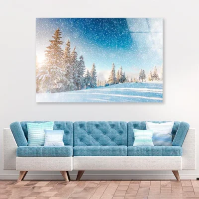 Dramatic Wintry Scene Acrylic Glass Print Tempered Glass Wall Art 100% Made in Australia Ready to Hang