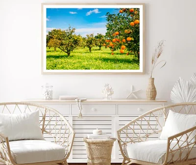View Of Green Garden Home Decor Premium Quality Poster Print Choose Your Sizes