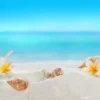 Conch Shell & Flower on Sea View Photograph Print 100% Australian Made - Image 3