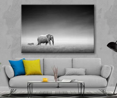 Bella Home B&W Elephant & Zebra Walking Together Print Canvas Ready to hang
