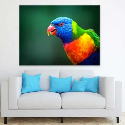 Blue Orange & Green Parrot View Photograph Print 100% Australian Made