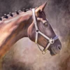 Horse Portrait Colorful Painting Home Decor Premium Quality Poster Print Choose Your Sizes - Image 2