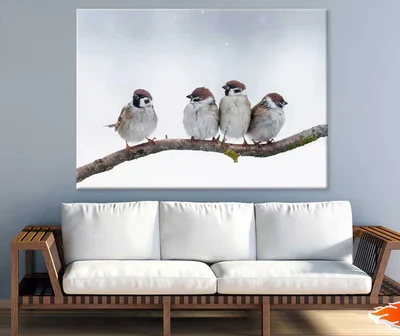 Sparrow Birds on Tree Branch View Photograph Print 100% Australian Made
