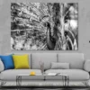 Peacock View B&W Photograph Print 100% Australian Made