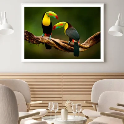 Toucan Sitting on The Branch in The Forest Home Decor Premium Quality Poster Print Choose Your Sizes